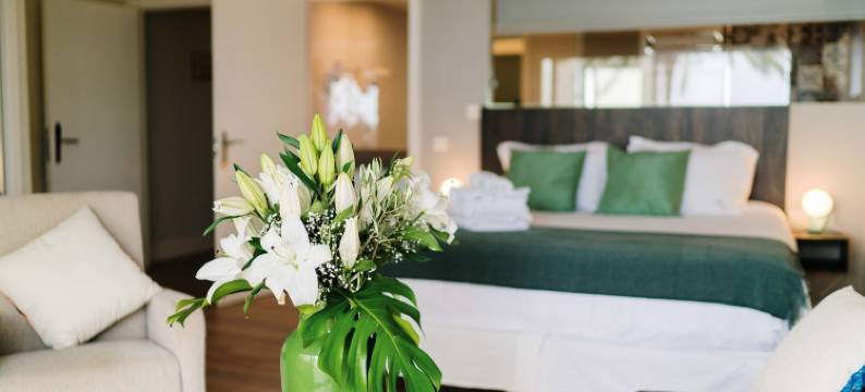 H.Boutique la Caleta湾(H Boutique la Caleta Bay)图片