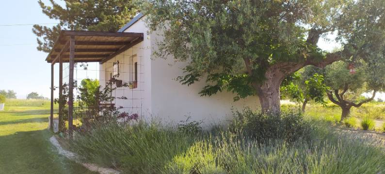 橄榄园花园酒店(Relais Il Giardino FRA Gli Ulivi - Oasi Panoramica Vista Mare)图片