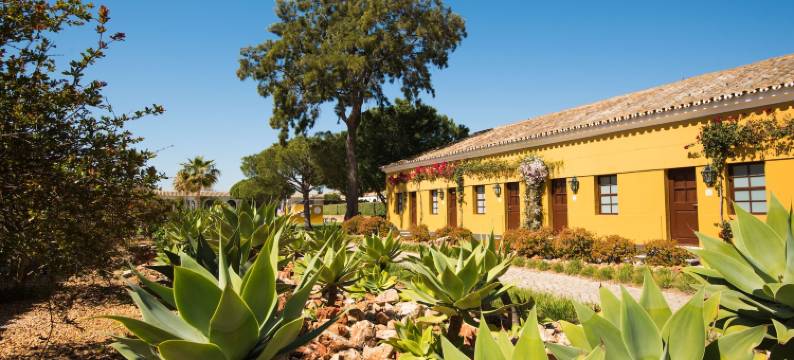 Vila Galé Albacora 生态海滩之旅(Vila Gale Albacora)图片