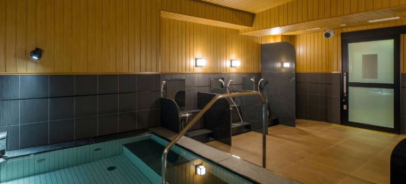 露樱酒店海老名站前店(Hotel Route-Inn Ebina Ekimae)图片