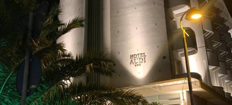 奥迪海滨酒店(Hotel Audi Frontemare)图片