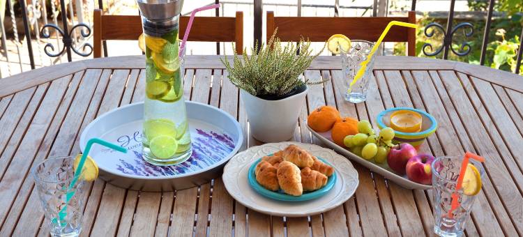 利迪亚别墅酒店(Apartment Villa Lidija)图片