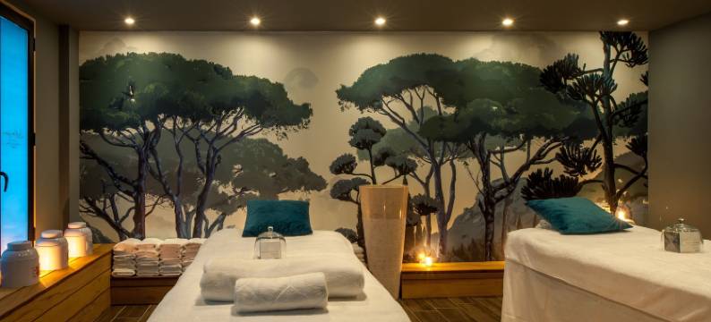 圣克莱尔 - 第戎地区酒店(Domaine Saint Clair   le Donjon)图片