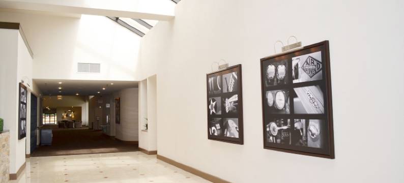 休斯顿哈比机场希尔顿逸林酒店(DoubleTree by Hilton Hotel Houston Hobby Airport)图片