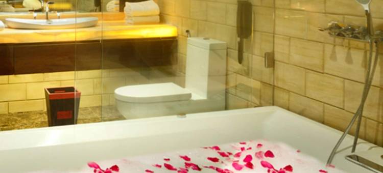 德拉度假酒店(Della Resorts)图片