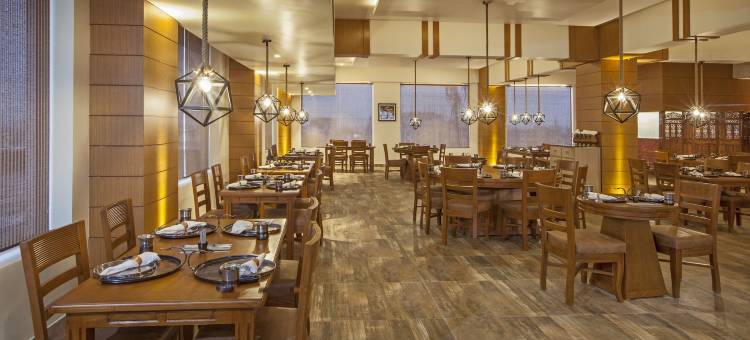 巴特那柠檬树高级酒店(Lemon Tree Premier, Patna)图片