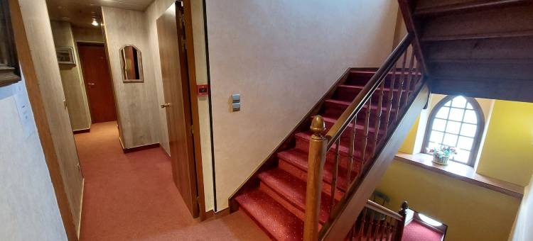 雄狮酒店(Logis Hôtels - Hôtel et Restaurant le Lion d'Or)图片