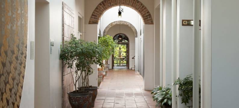 葡萄园酒店(Vineyard Hotel)图片