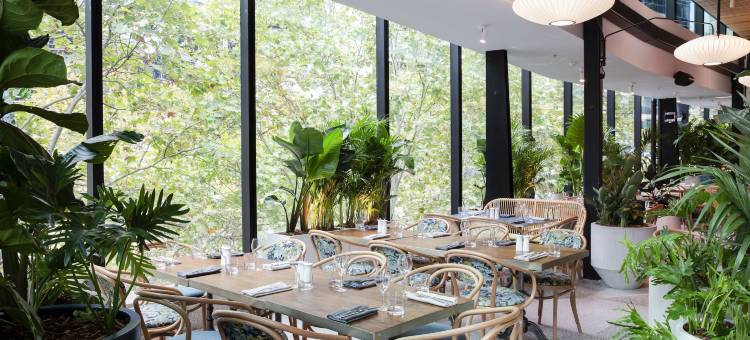 北悉尼韦伯酒店(Vibe Hotel North Sydney)图片