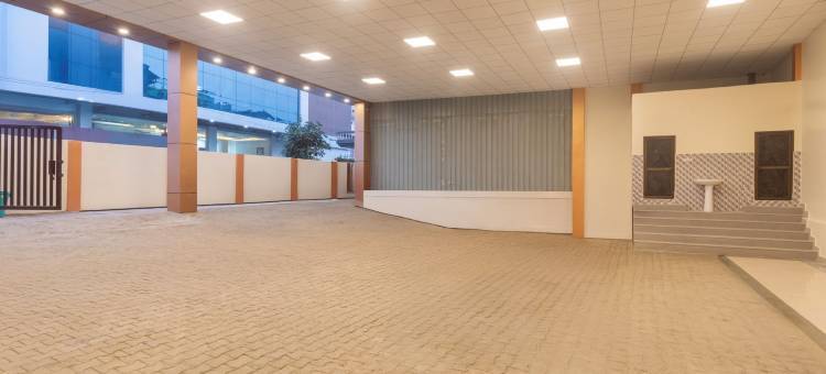 Treebo 金色卡西(Treebo Golden Kashi)图片