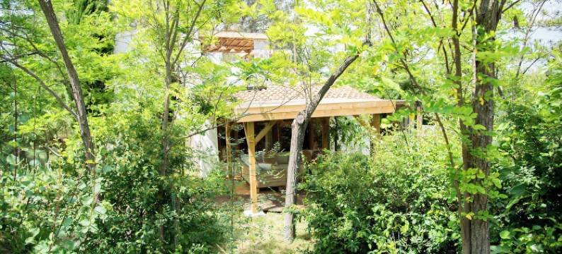 波希米亚之夜(Nuitées Bohèmes)图片