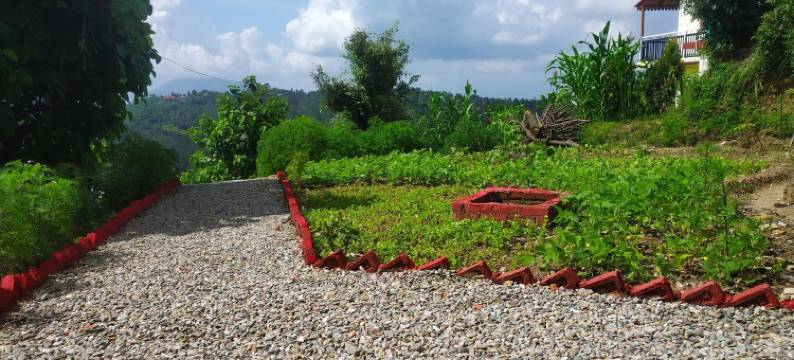 松树先锋生态度假村(Pine pioneer the eco resort)图片