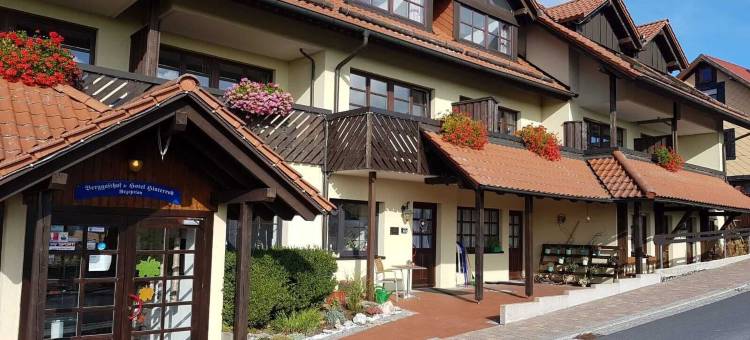 亨特罗德贝尔加斯霍夫酒店(Berggasthof & Hotel Hinterrod)图片