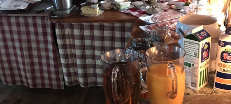 卡罗里恩阿日酒店(Hotell Karolinen Åre)图片