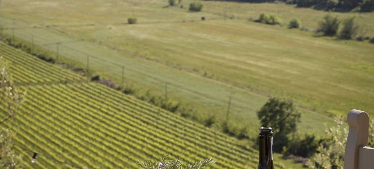 孔蒂圣博尼法西奥葡萄酒度假酒店(Wine Resort Conti di San Bonifacio)图片
