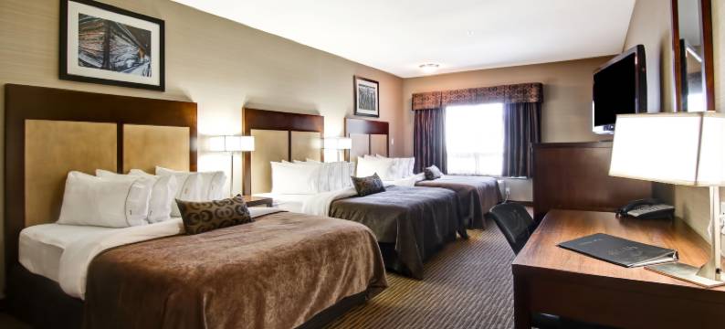 肖纳文卡纳尔塔酒店(Canalta Hotel Shaunavon)图片