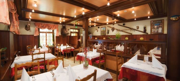 米尔巴舍尔客栈(Logis Auberge du Mehrbachel - Hôtel & Restaurant)图片