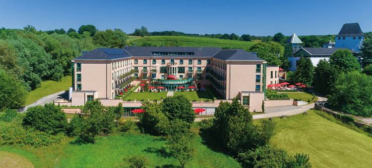 斯加罗斯伯格维克特雷迪斯酒店(Victor's Residenz-Hotel Schloss Berg)图片