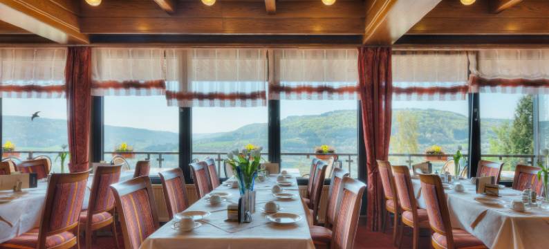 索娜伯格瓦尔德酒店(Waldhotel Sonnenberg)图片