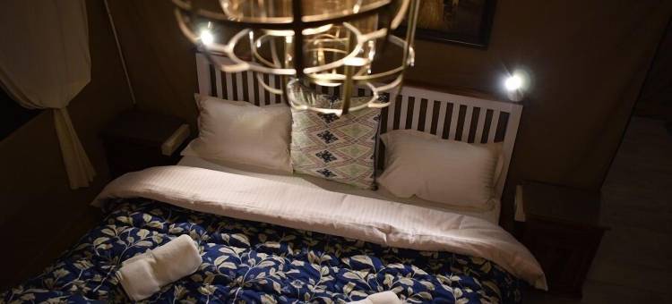 雪松营地(Camp Cedar)图片