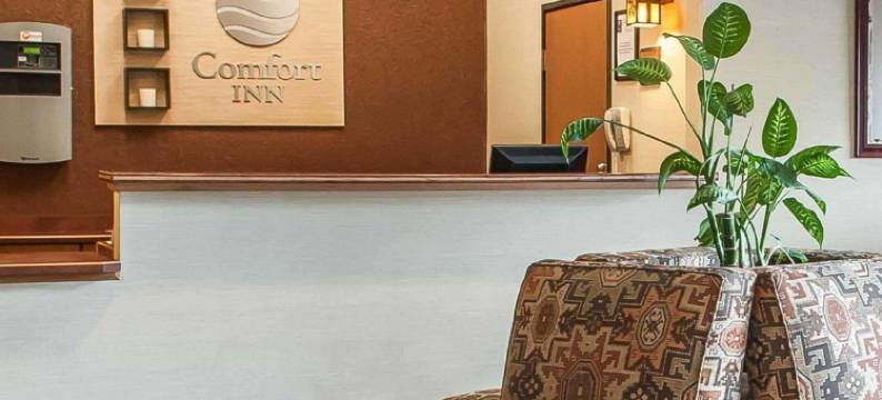 城中舒适套房酒店(Comfort Inn & Suites Midtown)图片