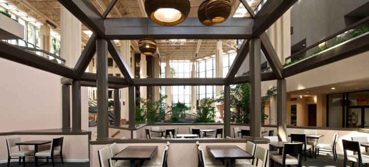 棕榈滩花园希尔顿安泊套房酒店-PGA大道(Embassy Suites by Hilton Palm Beach Gardens PGA Boulevard)图片