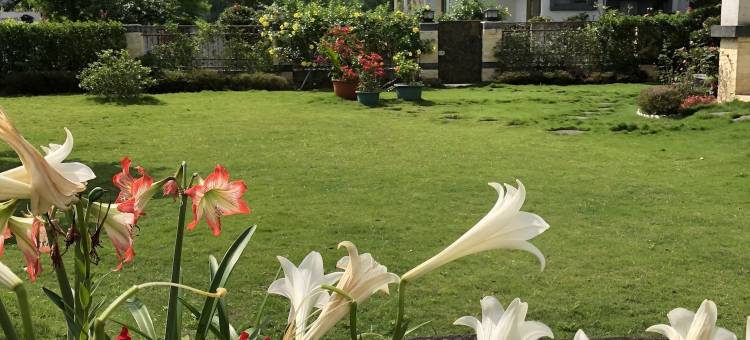 花莲漫飞民宿图片