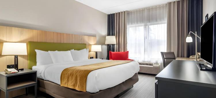 卡尔霍恩舒适套房酒店(Comfort Inn & Suites Calhoun South)图片