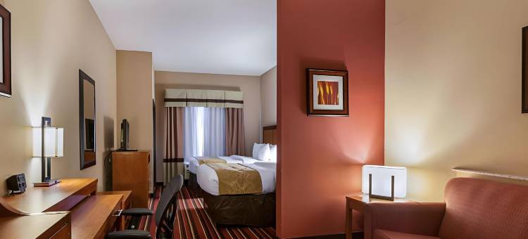 萨尔弗 - 查尔斯湖舒适套房酒店(Comfort Suites Sulphur-Lake Charles)图片