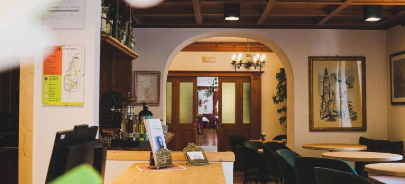 欧派斯酒店(Hotel des Alpes)图片