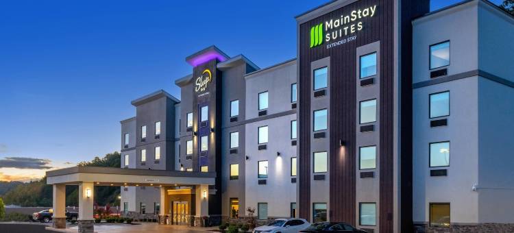 温菲尔德-泰伊斯谷美茵斯坦套房酒店(MainStay Suites Winfield-Teays Valley)图片