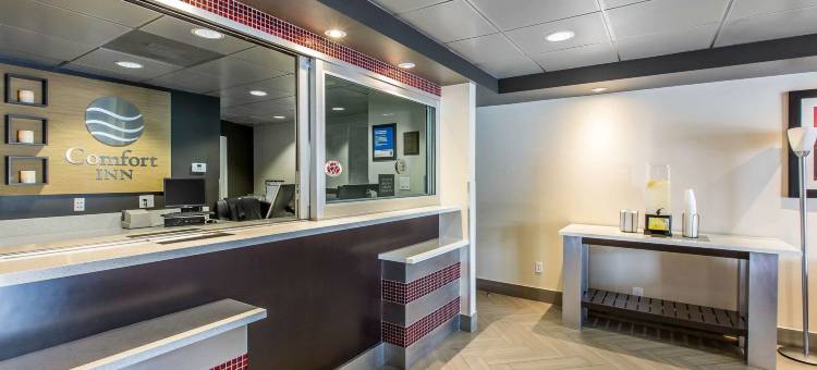 洛杉矶近好莱坞舒适酒店(Comfort Inn Los Angeles near Hollywood)图片