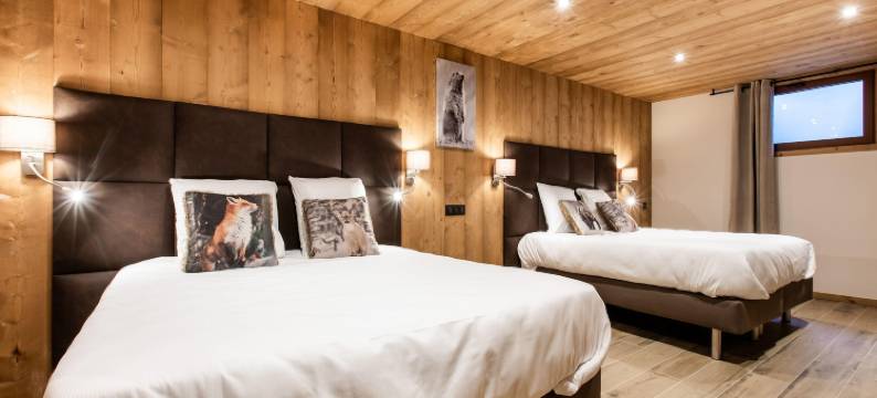 Alpine Chalet with Spa and pets图片