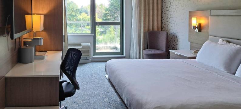 温哥华机场Comfort酒店(Comfort Hotel Vancouver Airport)图片