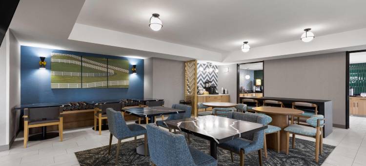 莱辛顿南 - 汉堡拉昆塔温德姆套房酒店(La Quinta Inn & Suites by Wyndham Lexington South / Hamburg)图片