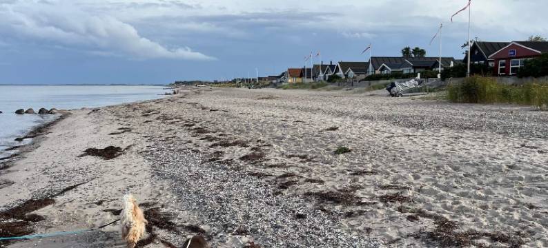 8 person holiday home in Otterup图片