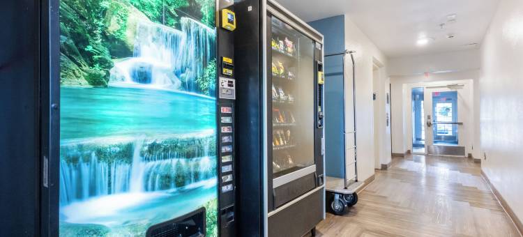 亨茨维尔大学区郊区开放式客房(Suburban Studios Huntsville University Area)图片