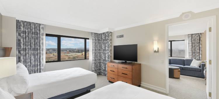 希尔顿安泊酒店-安那翰橙市(Embassy Suites by Hilton Anaheim Orange)图片