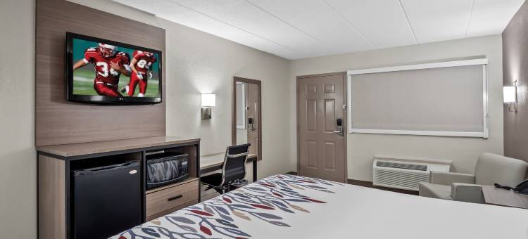 安阿伯 - 密歇根大学南红屋顶酒店(Red Roof Inn Ann Arbor - U of Michigan South)图片