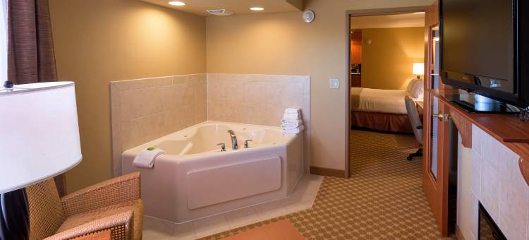 芝加哥西-罗塞尔智选假日套房酒店(Holiday Inn Express & Suites Chicago West-Roselle)图片