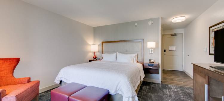 希尔顿欢朋套房酒店-休斯顿北斯普林(Hampton Inn & Suites North Houston Spring)图片