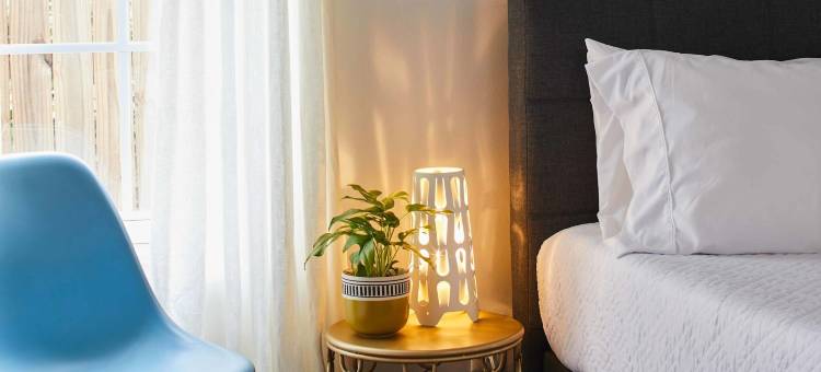 现代宠物友好型度假屋，被评为伯明翰最佳民宿(Modern, Pet-Friendly Retreat, Named Best Bnb in Bham)图片