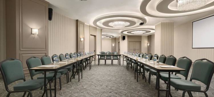 布尔萨尼吕费尔温德姆华美达酒店(Ramada by Wyndham Bursa Nilufer)图片