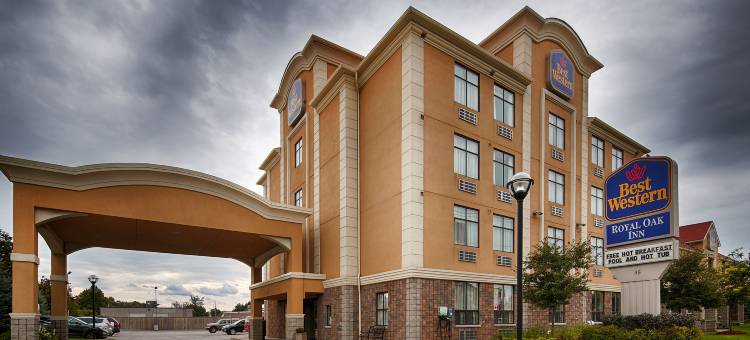 Best Western Plus Barrie图片