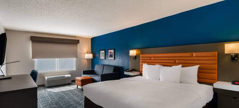 福尔斯彻奇舒适酒店-泰森斯角(Comfort Inn Falls Church - Tysons Corner)图片