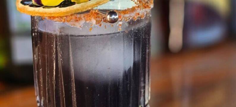 埃尔萨巴内罗生态旅馆(El Sabanero Eco Lodge)图片