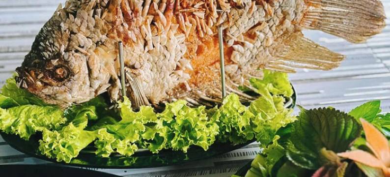 生态旅游浪荡大内(Lang du lich sinh thai da noi)图片