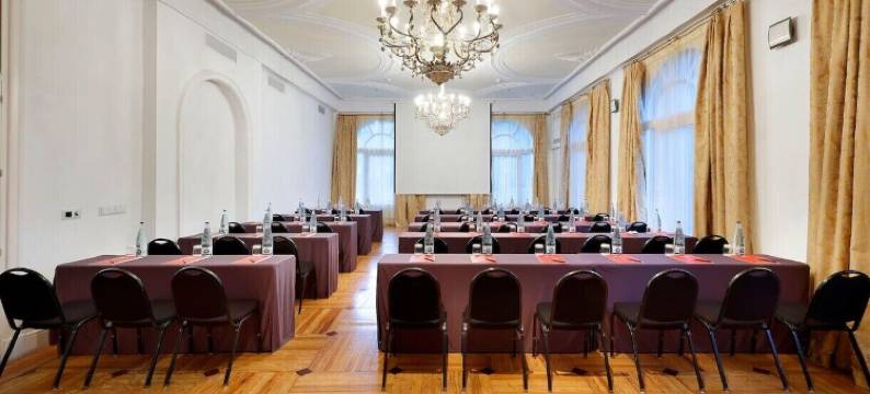 埃克维多利亚宫殿酒店(Exe Victoria Palace)图片