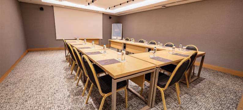 伊斯坦布尔哈比耶丽笙酒店(Radisson Hotel Istanbul Harbiye)图片