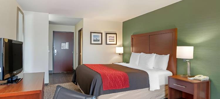 舒适套房酒店(Comfort Inn & Suites Salem)图片